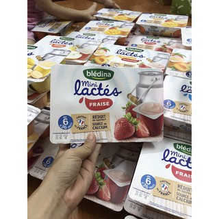( MMVB )Sữa Chua Bledina Pháp 6 Hộp×55g