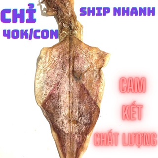 Mực khô câu tay đảm bảo trắng dày loại 18-20 con/1kg,mực khô ngon nhất hà nội - lẻ 1 Con