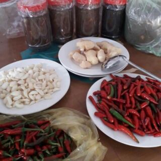 Mắm cá mực, cá cơm