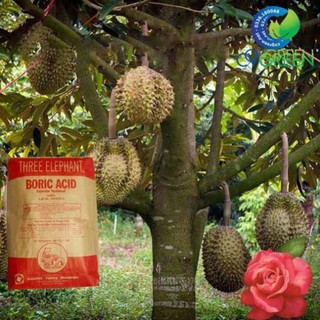 Axit Boric - diệt dán, kiến, Tăng khả năng đậu quả, giảm rụng trái non (gói 1kg)
