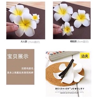 CÀI TÓC HOA SỨ SIÊU XINH
