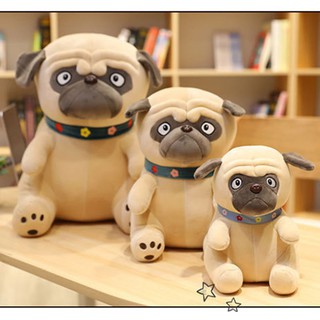 Chó Bông Mặt xệ Pug