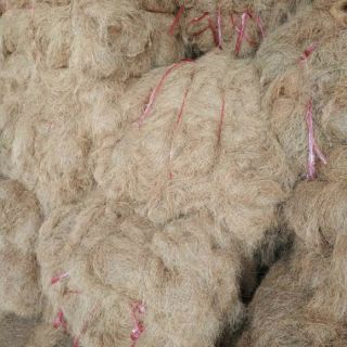 Chỉ xơ dừa (giá thể trồng lan)
