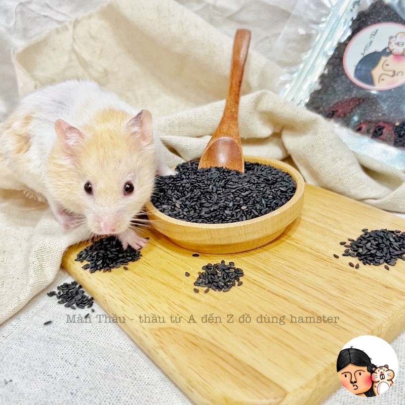 Mè đen dành cho Hamster