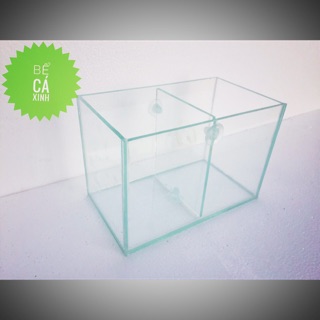 #Bể cá mini 2 ngăn #Bể_thuỷ tinh