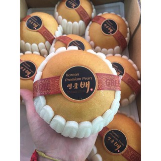 2 CÂY LÊ HÀN QUỐC GIỐNG