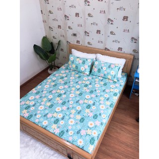 Ga Chống Thấm Cotton 1m6x2m,1m8x2m