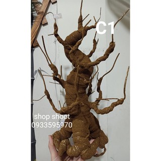 GỐC BONSAI C1( CAO 45CM) LÀM THÂN MAI ĐÀO