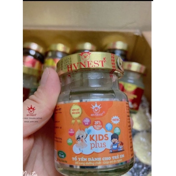 Tổ yến chưng kiss plus- tổ yến chưng đặc biệt cho trẻ nhỏ - yến sào hoàng việt (30% yến tươi nguyên chất)