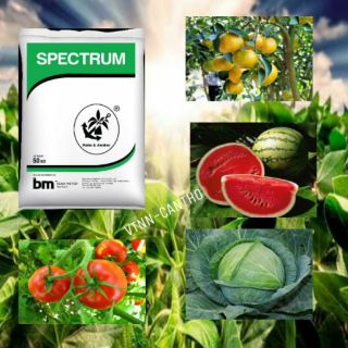 🌐PHÂN BÓN NPK 20-20-15 _ NHẬP KHẨU TỪ ĐỨC CTY BEHN MEYER '1kg'