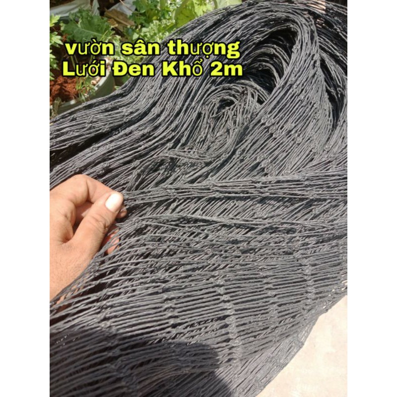 1 mét Lưới Làm Giàn Trồng Cây Màu Đen Khổ Kéo Căn 2 mét, Ô 3,5x3,5cm, Dễ Sử dụng