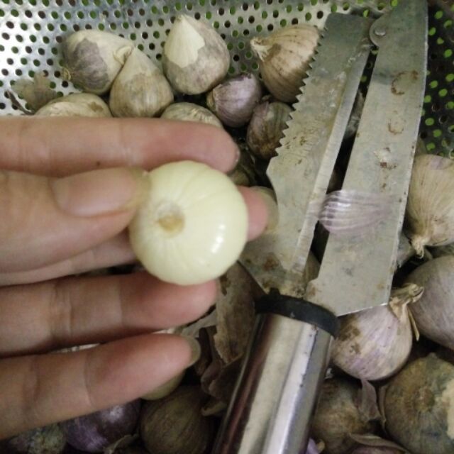 Tỏi cô đơn 150k\kg