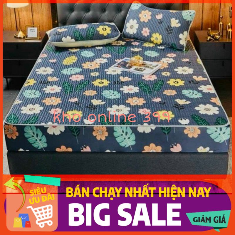 [RẺ VÔ ĐỊCH] chiếu điều hòa bo chun, chiếu điều hòa tencel mủ cao su non 1m6x2m, 1m8x2m và 2mx2m2, chăn ga gối nệm