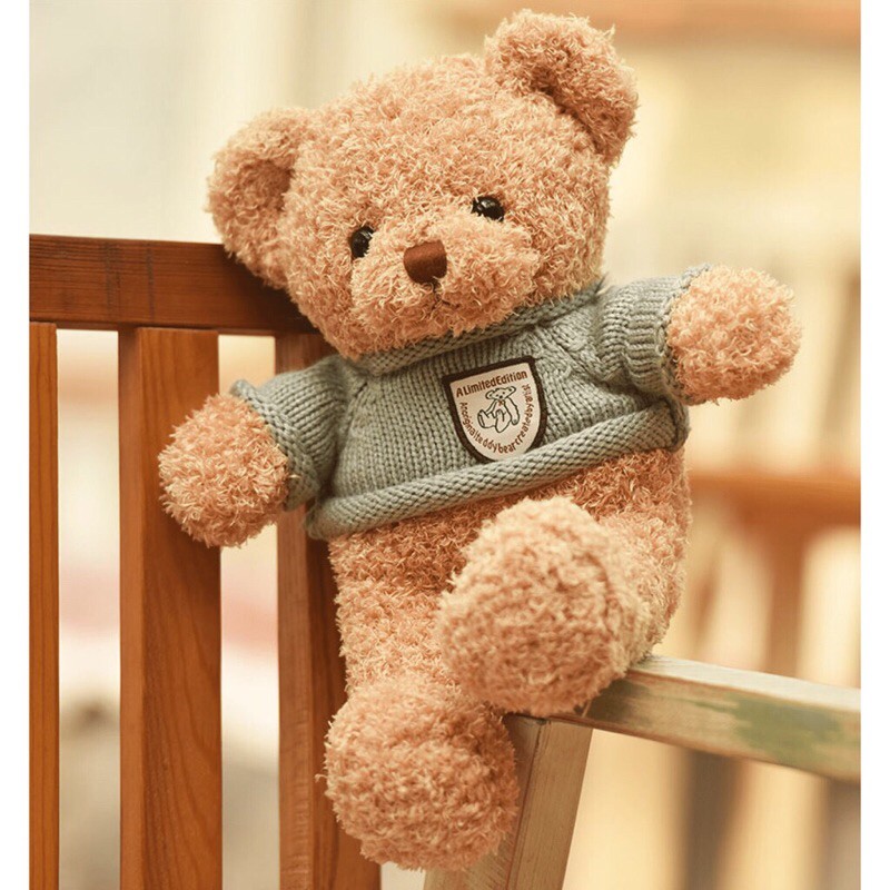 túi gấu teddy