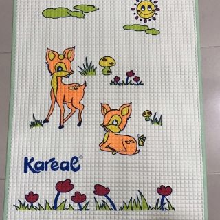 Tấm Lót Cao Su Chống Thấm Kareal