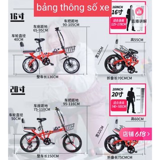 Xe đạp gấp gọn Phoenix Basic