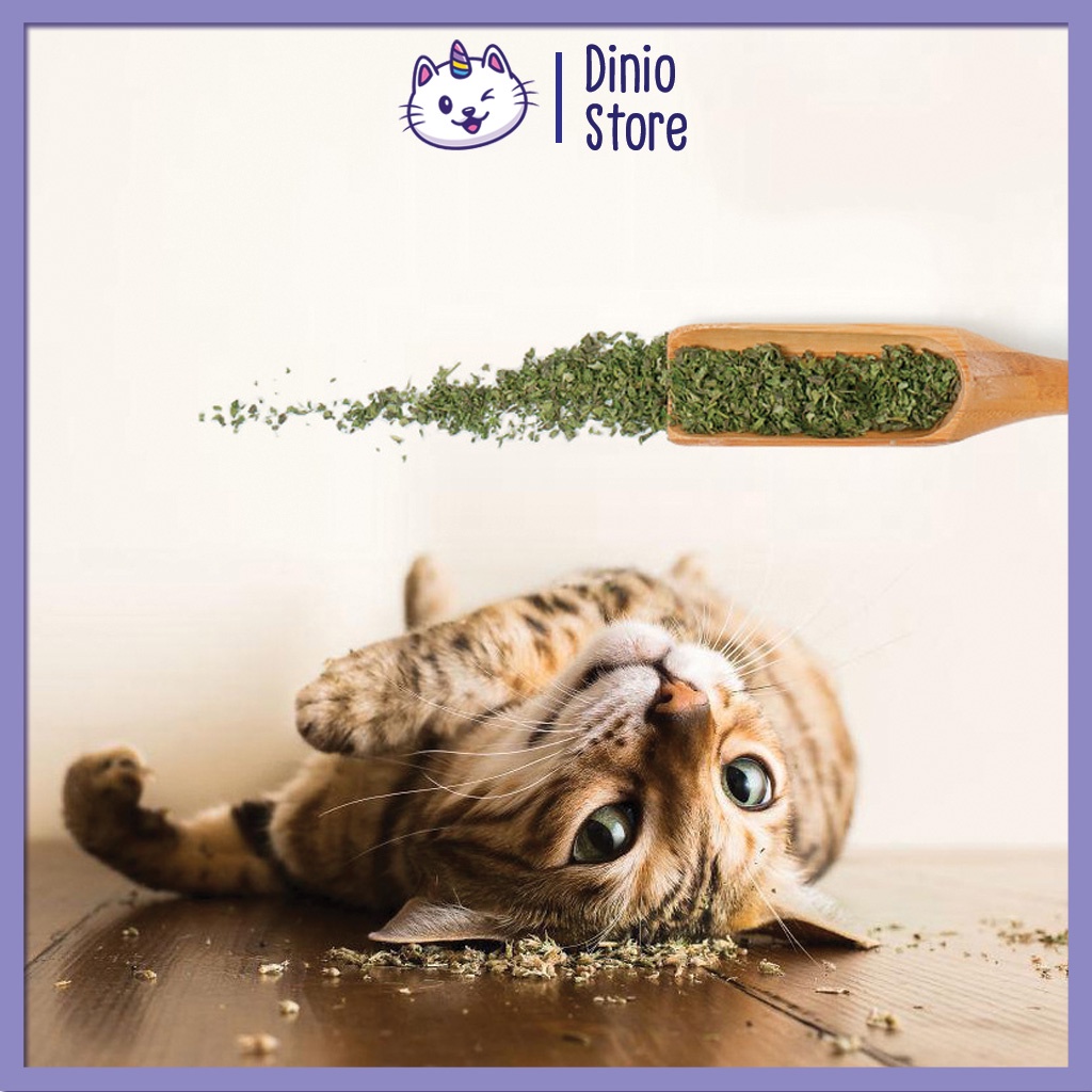 Cỏ mèo khô bạc hà cho mèo catnip , giúp mèo thư giãn và thư giãn - Gói 2g