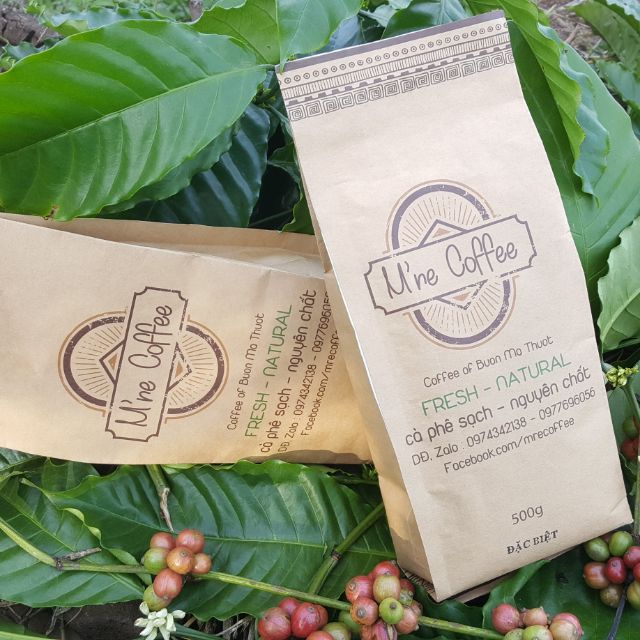 Cà phê Robusta mộc -500g
