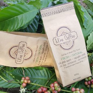 Cà phê robusta mộc -500g