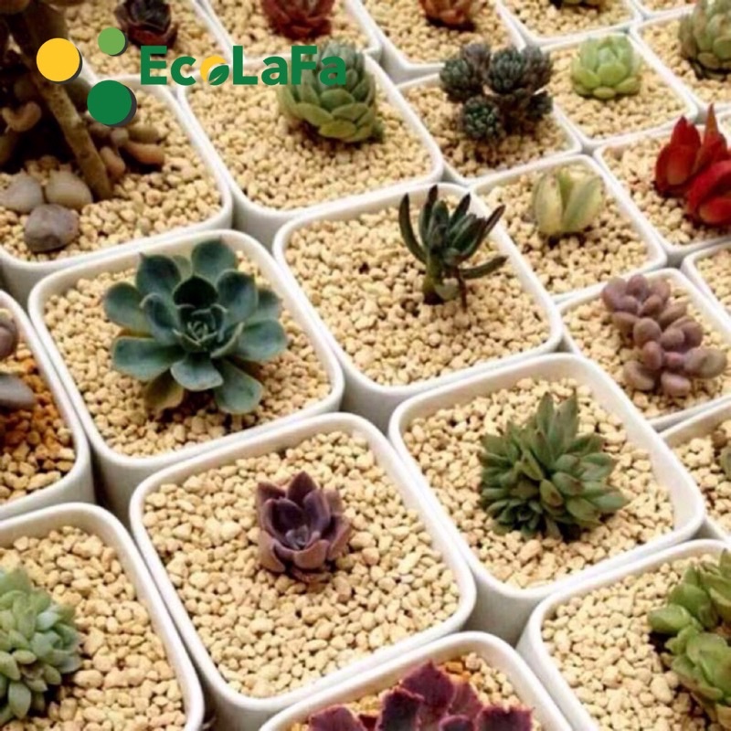 PHÂN NỀN  AKADAMA , PHÂN NỀN THỦY SINH