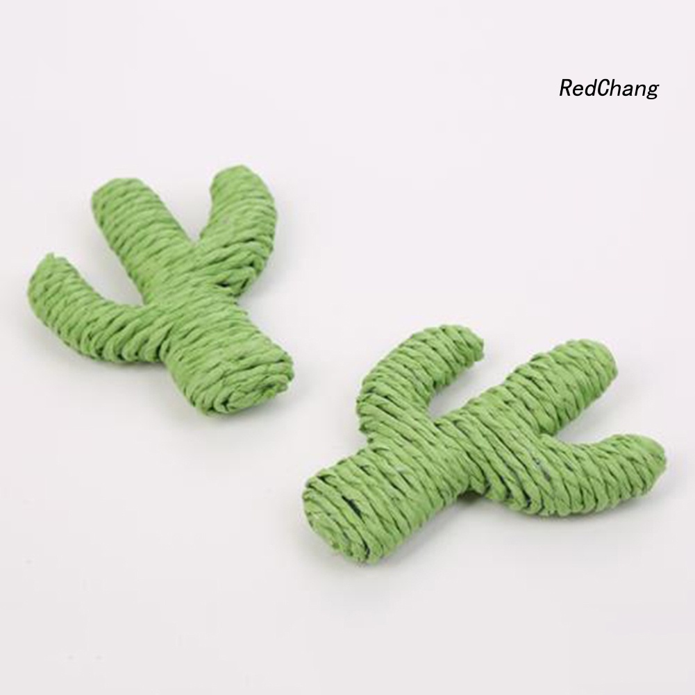Cây Xương Rồng Đồ Chơi Mềm Cho Mèo
