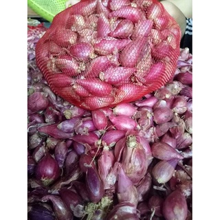 Hành Tím Lý Sơn size trung 1kg chắc củ