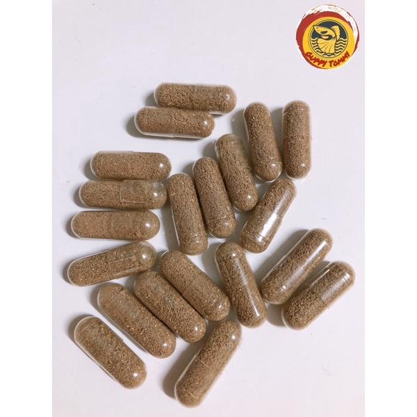Artemia nước ngọt dạng viên nhộng