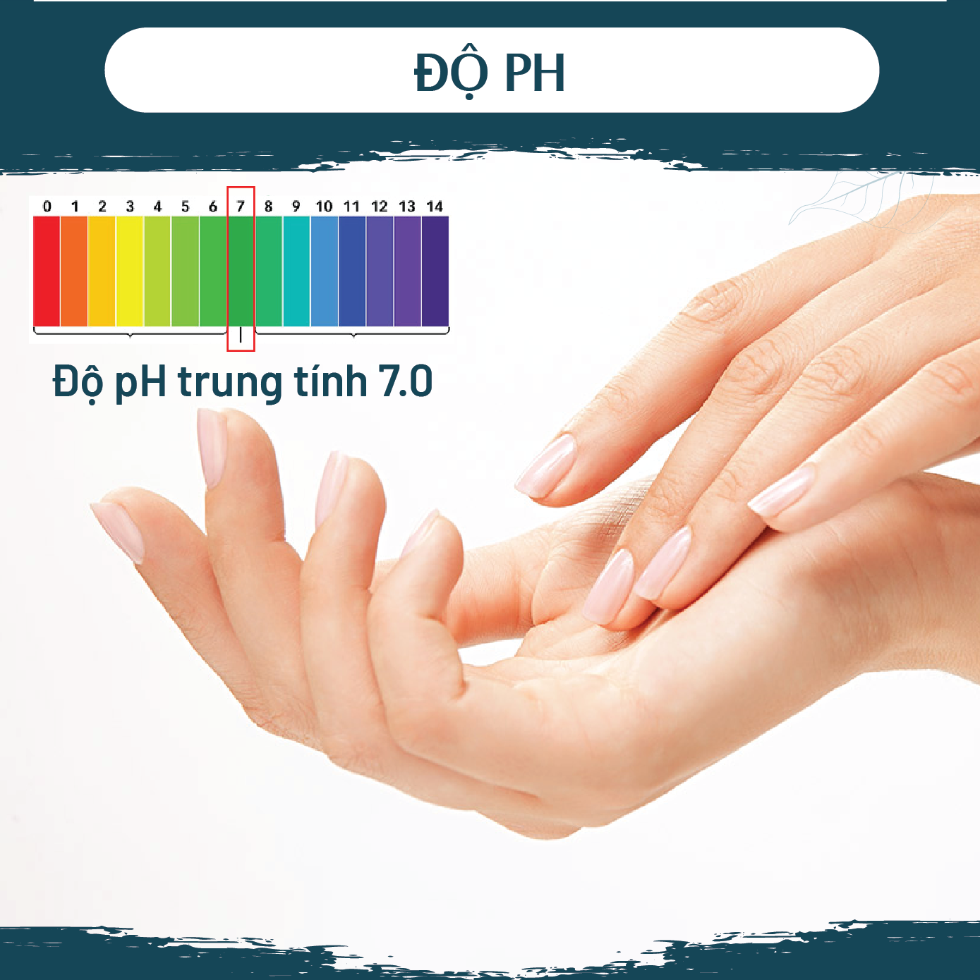 Nước rửa chén tinh dầu thảo mộc PK 300ml - thành phần hữu cơ, an toàn da tay