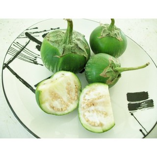 Gói 1 gam hạt giống cây cà dĩa da ếch
