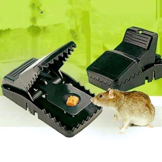 Bẫy chuột nhựa thông minh dính