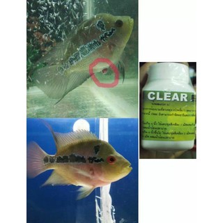 Cz9 – Clear – Bột trị sình bụng, phân trắng cho cá
