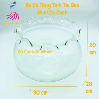 Chậu thủy tinh, hồ cá để bàn tròn tai bèo size 30x28x20 cm HB-D