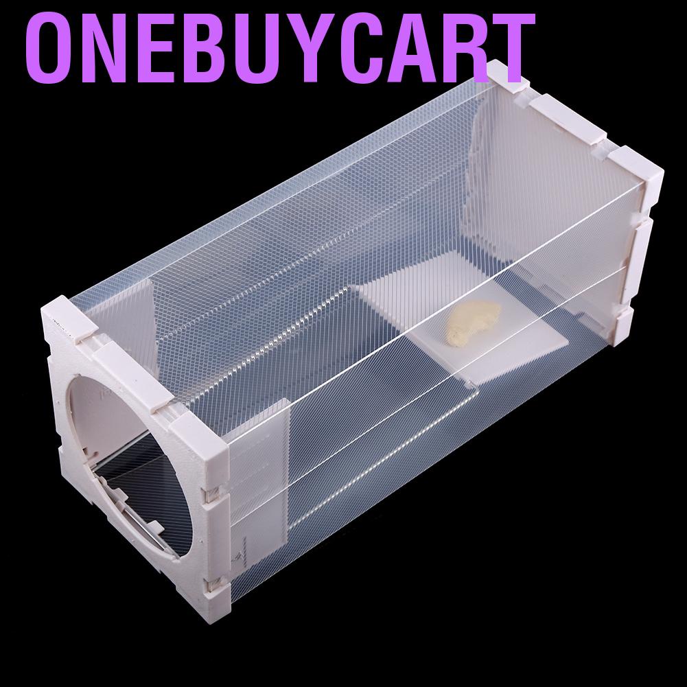 Lồng bẫy bắt chuột tiện dụng cho gia đình