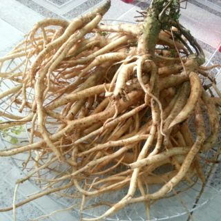1kg Sâm dây Ngọc Linh hàng 4củ/kg