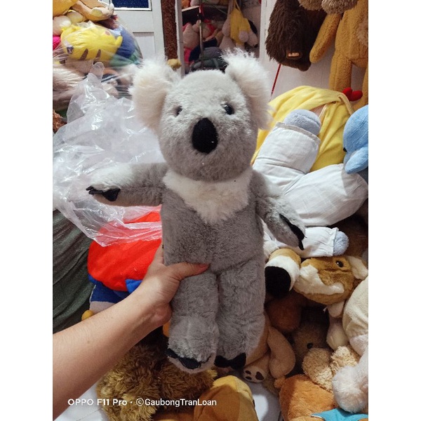 Gấu bông teddy size 40_50cm