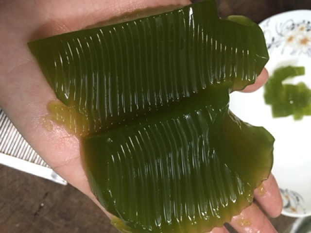 COMBO 10KG BỘT THẠCH GĂNG