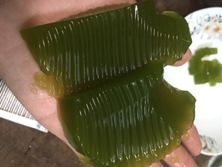 COMBO 10KG BỘT THẠCH GĂNG