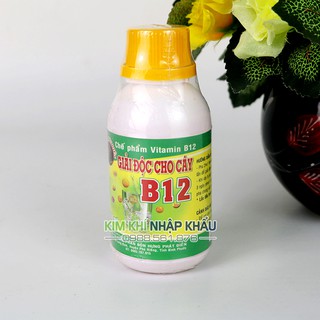 Thuốc chống sốc, giải độc cây Vitamin B12 lọ 100 ml - T134A