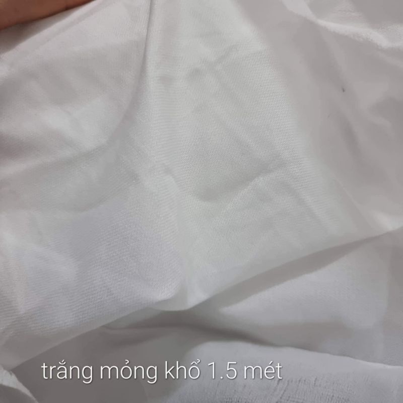 Mếch mùng