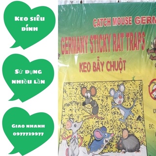 Keo dính chuột - keo bẫy chuột giá rẻ siêu dính