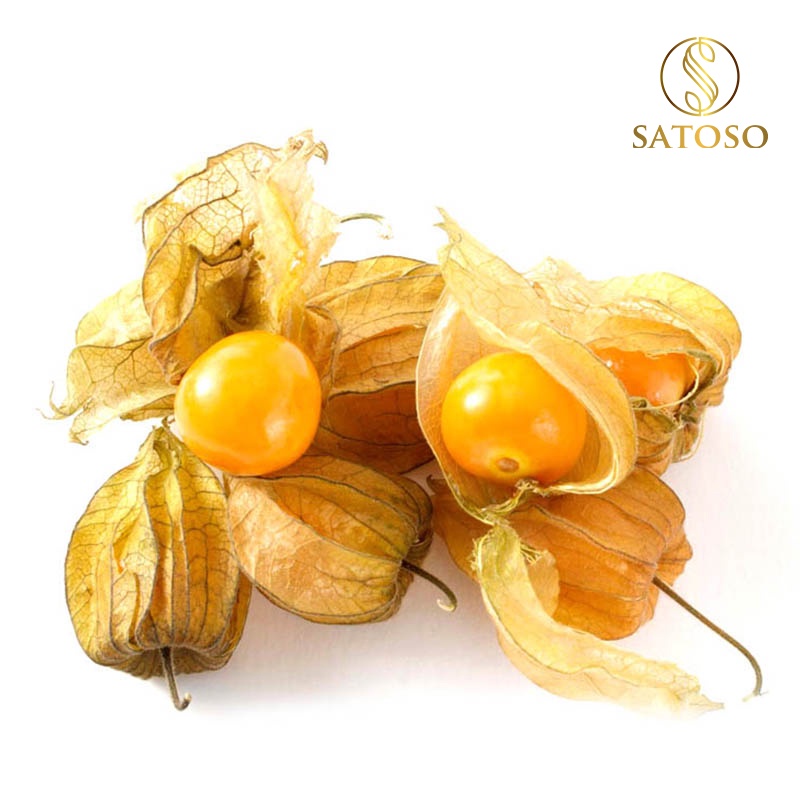 Cây tầm bóp satoso 1kg giúp hỗ trợ cho người bị Gout, đái tháo đường vô cùng hiệu quả SA46