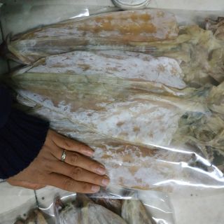 Mực khô vân đồn - quảng ninh