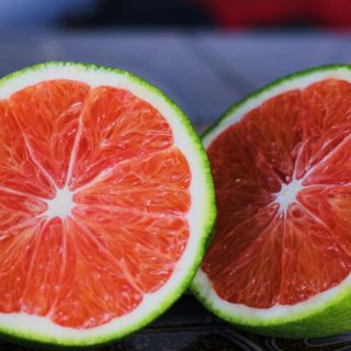 Cây cam cara ruột đỏ không hạt.
