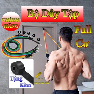 Dây Tập Gym Ngũ Sắc [LOẠI 1] Dây Kháng Lực Tập Gym Thể Hình Đa Năng Tại Nhà Chất Liệu Cao Su Cao Cấp Siêu Bền