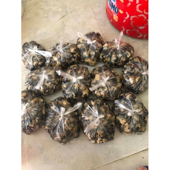 Ốc Bươu Vàng 🐌 tươi còn sống 1 kg | BigBuy360 - bigbuy360.vn