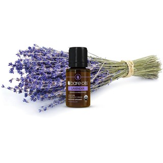 Tinh dầu Lavender - USDA Organic