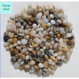 Sỏi 3 Màu Trang Trí Bể Cá, Tiểu Cảnh,...(500Gr)