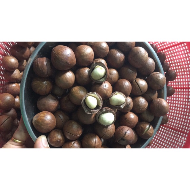 Macca đắc lắc 500gr