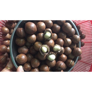 Macca đắc lắc 500gr