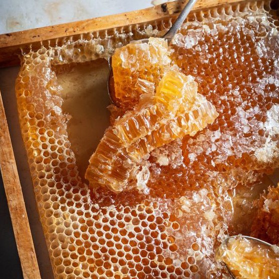 MẬT ONG NGUYÊN CHẤT Xuất Khẩu Hoa Kì 1400g - Thế Hồng Honey